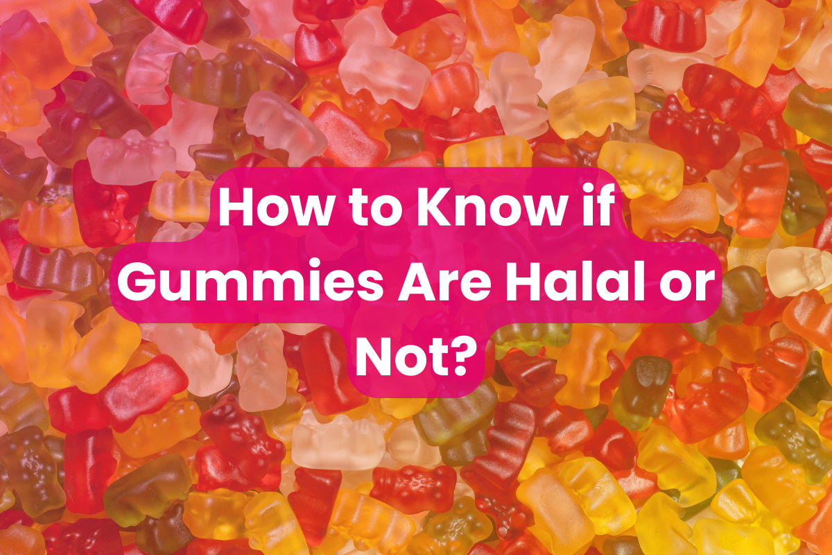 How to Know if Gummies Are Halal or Not?
