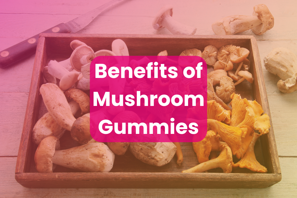 Benefits of Mushroom Gummies